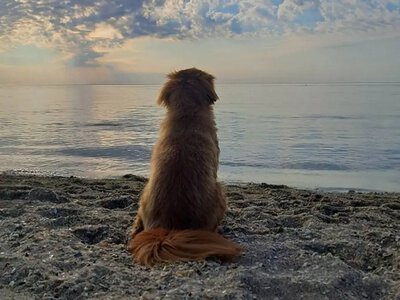 Чи можна купатися в Одесі 29 червня: яка температура морської води сьогодні