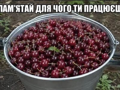 Одеський гумор: головний стимул для роботи і як не «поїхати кукухою»