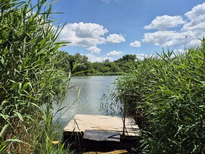 Екоактивісти б’ють на сполох: побутова хімія отруює водойми Криворіжжя