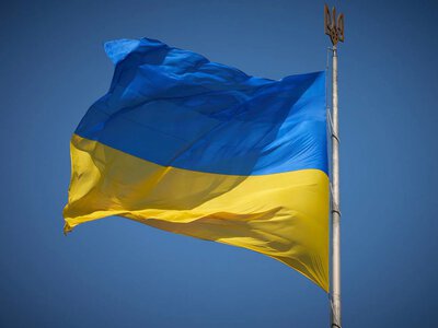 Президент Володимир Зеленський нагородив відзнаками закарпатських діячів, лікарів, юристів та художників