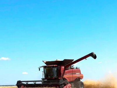 У двох районах на Кіровоградщині стартували жнива