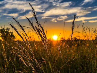 Що зміниться з 1 липня: підвищення тарифів на воду, нові виплати військовим та бензин зі спитром