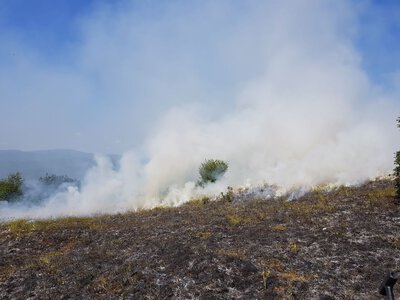 Закарпатські синоптики попереджають про надзвичайну пожежну небезпеку