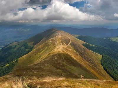 Фото дня: Неймовірні знімки літніх карпатських гір (ФОТО)