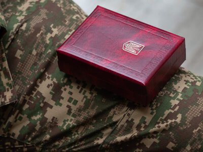30 років Конституції України: Національна гвардія за захисті державності!