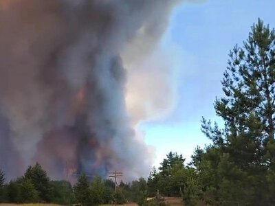 У Чорнобильській зоні гасять пожежі внаслідок падіння російських безпілотників