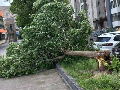 Грози та шквали накрили захід України. У Львові — повалені дерева, світлофори й зірваний дах