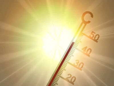 На Житомирщині до 36° спеки, а з четверга очікуються дощі та похолодання