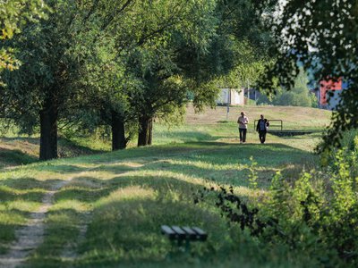 Що буде, якщо щодня ходити по 30 хвилин: користь для серця, сну і настрою