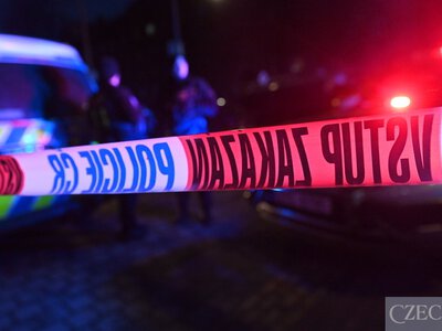 Зростає рівень злочинності з високим рівнем агресії серед дітей у Чехії: NSZ