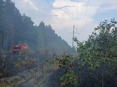 Частина Рівного та району лишилася без світла через лісову пожежу
