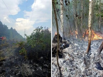 У Рівному та районі через лісову пожежу знеструмлювало споживачів: «Рівнеобленерго» відновлює лінію