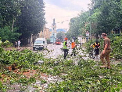У Львові блискавка вдарила 6-річну дівчинку — дитина в реанімації