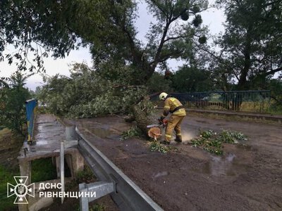 На Рівненщині сильний вітер повалив дерева на автошляхи