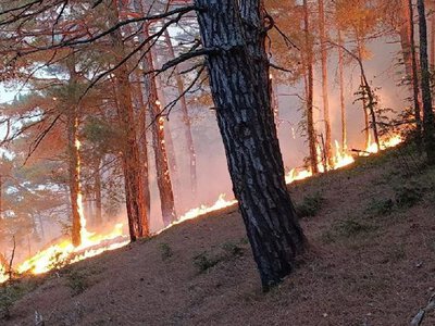 У зоні ЧАЕС триває ліквідація пожеж після падіння російських дронів
