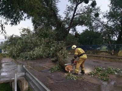 Шквальний вітер на Рівненщині повалив дерева на автошляхи та заблокував рух