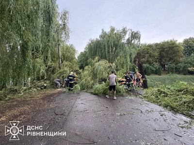 Наслідки буревію: на Рівненщині рятувальники розчищали автошляхи від повалених дерев