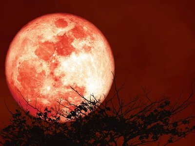 У ніч на 30 червня зійде “полуничний” Місяць: коли і як спостерігати повню