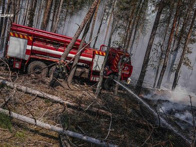 У лісах Чорнобильської зони відчуження триває пожежа