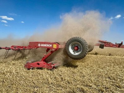 Як забезпечити рівномірні сходи ріпаку: поради аграріям