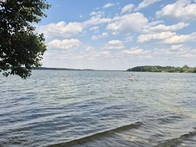У водоймах Дніпропетровщини виявили небезпечну бактерію: перелік місць
