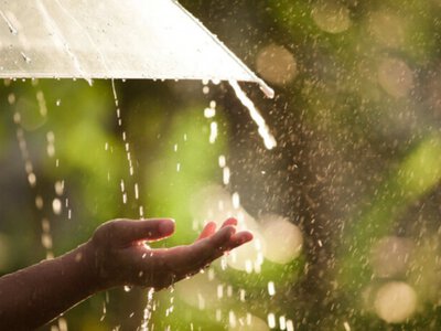 На Черкащині після нічної негоди збережеться спека до +37° та ймовірність гроз
