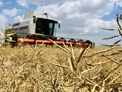 Tekom Agro Group розпочала жнива озимого ріпаку