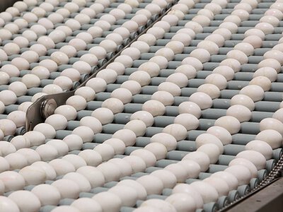 Виробництво яєць в Україні зросло на 8,3% за 5 місяців