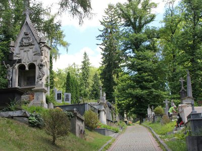 Личаківське кладовище у Львові оброблятимуть від кліщів