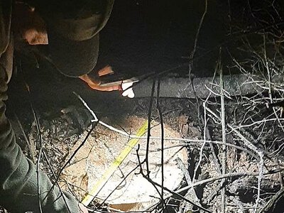 На Миколаївщині сімох жителів підозрюють у вирубуванні лісу на 2,7 мільйона гривень