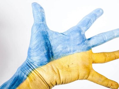 Причини дуже різноманітні: в ЄС оцінили плани українців щодо повернення додому  (Відео)