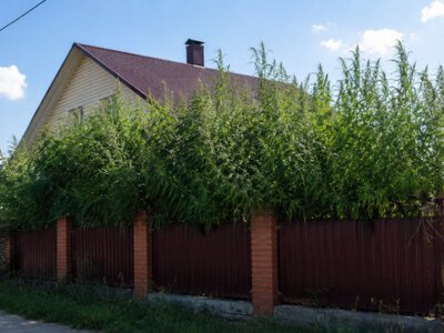 Власникам землі та приватних будинків загрожує штраф до 1700 грн: за що доведеться заплатити?