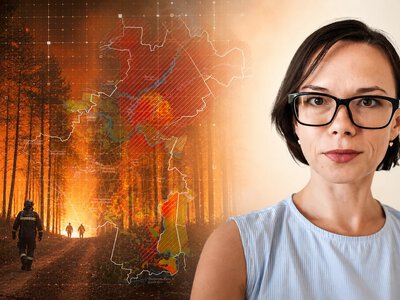 «Усе буде іншим»: що відбувається з випаленими лісами Харківщини (відео)