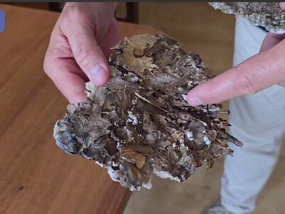 Небезпечні поробки скидають БпЛА на Харківщину (відео)