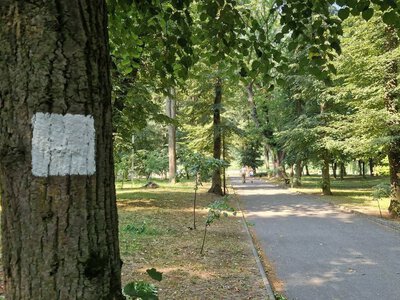  Нові туристичні маршрути з’являться у трьох громадах Тернопільщини 