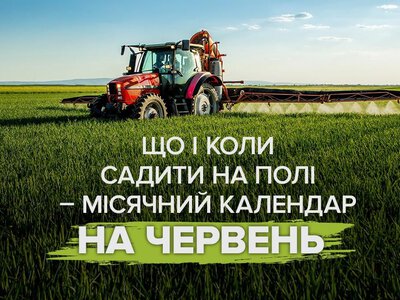 Городина ростиме, як на дріжджах: посівний місячний календар на липень