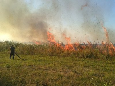 На Рівненщині за добу ліквідували 12 пожеж в екосистемах