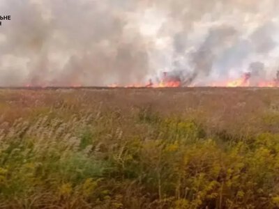 Майже 2 тисячі гектарів вигоріло в заповіднику «Асканія-Нова» на Херсонщині