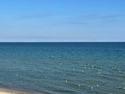 Свіжість чи парне молоко? Що з температурою моря в Одесі 1 липня