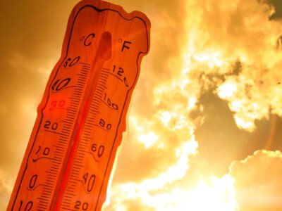 Врожаї під загрозою: як зміна клімату впилине український агроринок