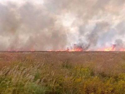 Окупанти спалили майже 2 тисячі гектарів заповідника Асканія-Нова