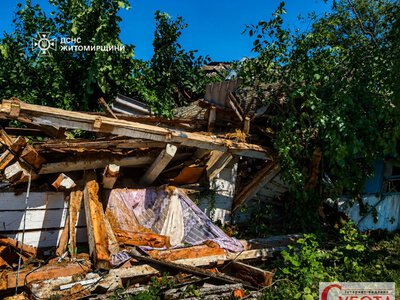 У селі на Житомирщині рятувальники усунули наслідки сильного вітру та відновили рух транспорту