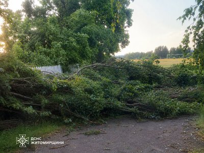 Як рятувальники ліквідовували наслудки негоди у селі Коростенського району