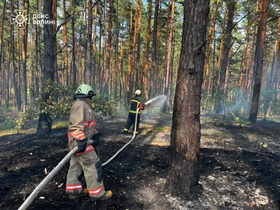 На Ковельщині горіли торфовища: поблизу Тойкута триває ліквідація масштабної пожежі