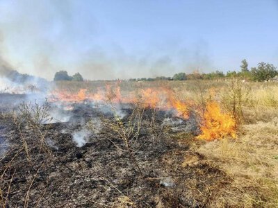 На Рівненщині зафіксували 8 загорянь сухостою та торфу