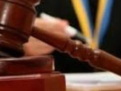 Нa Вінниччині знищено понaд дві сотні дубів