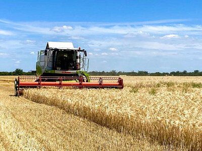 На Вінниччині розпочались жнива ранніх зернових