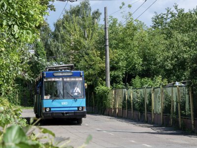 Виділені смуги і «зелена хвиля»: що може пришвидшити громадський транспорт у Житомирі