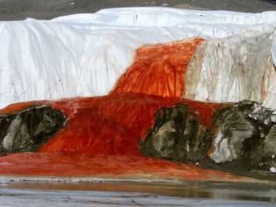 Кривавий водоспад: вчені приголомшили  новим винаходом