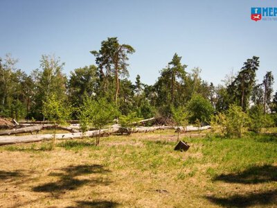 Забудова на Лісовій просіці: у Черкасах шукатимуть компроміс
